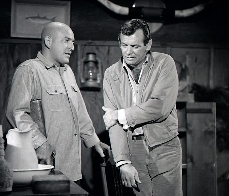 Image Of The Fugitive 1963 1967 image-of-the-fugitive-1963-1967