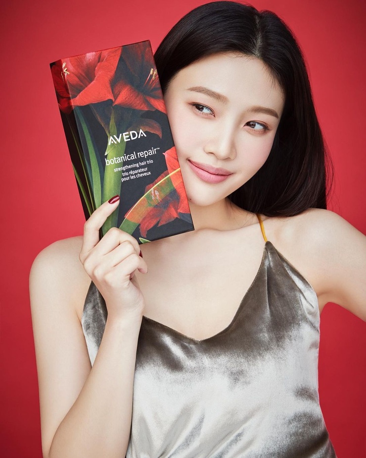 Joy (Park Soo Young) Joy (Park Soo Young)