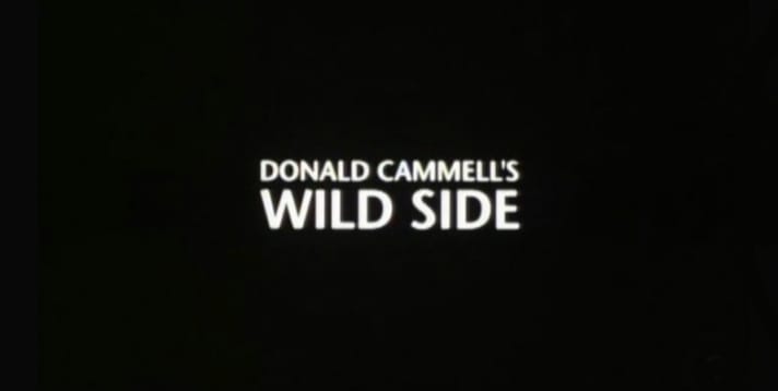 Wild Side