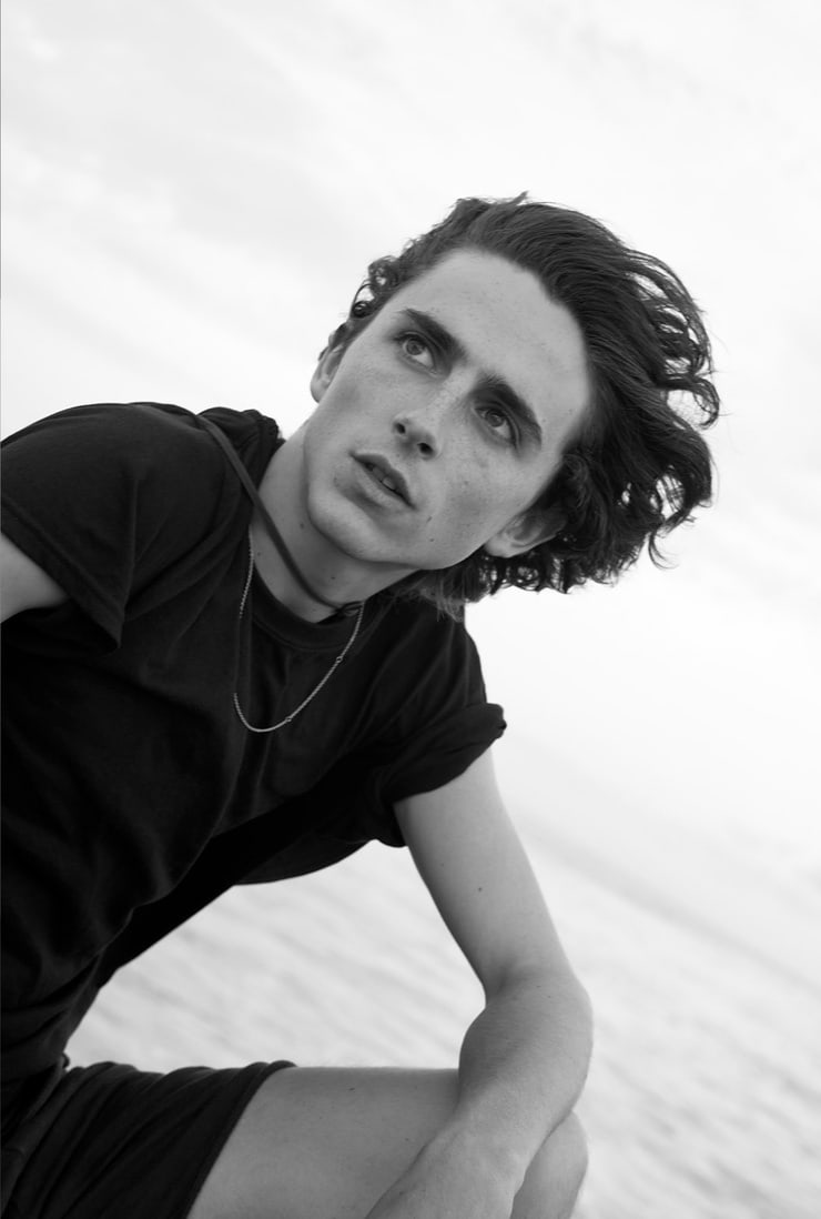 Timothée Chalamet