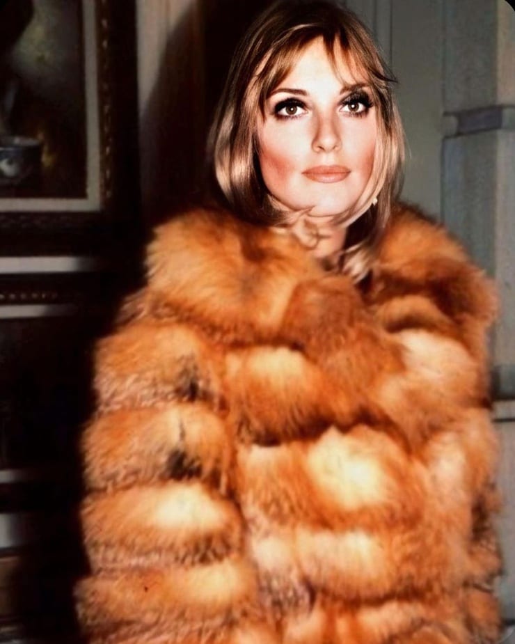 Picture of Sharon Tate