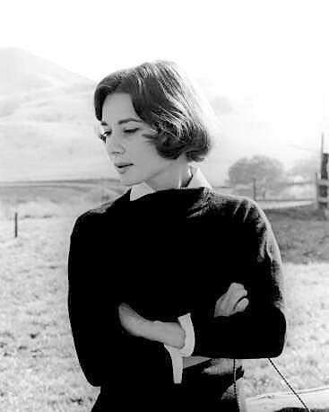 Audrey Hepburn