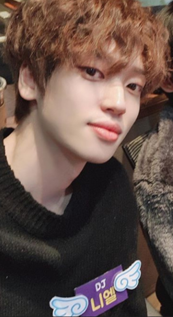 Niel
