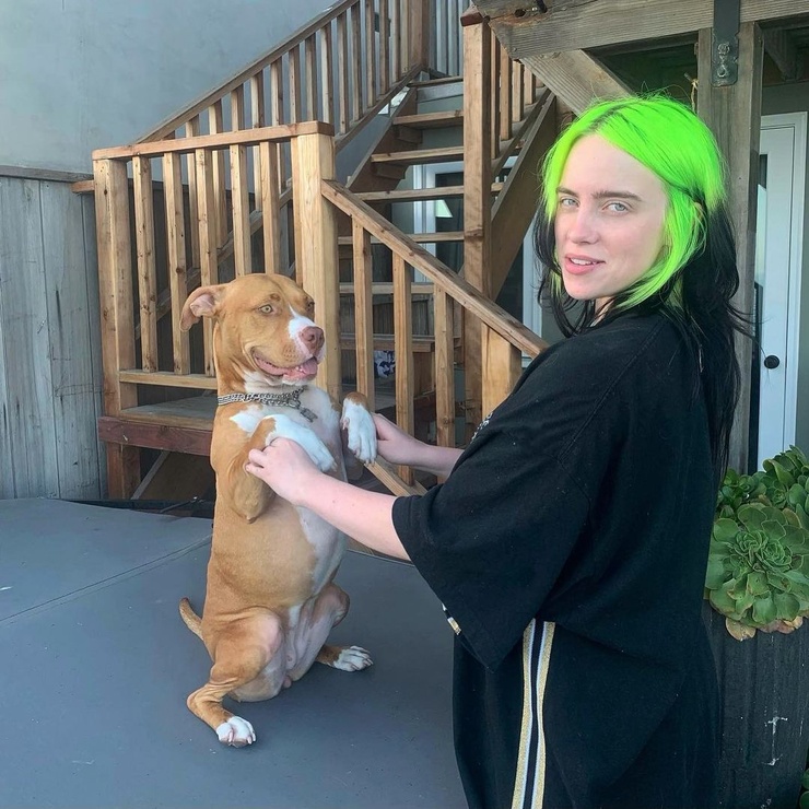 Billie Eilish