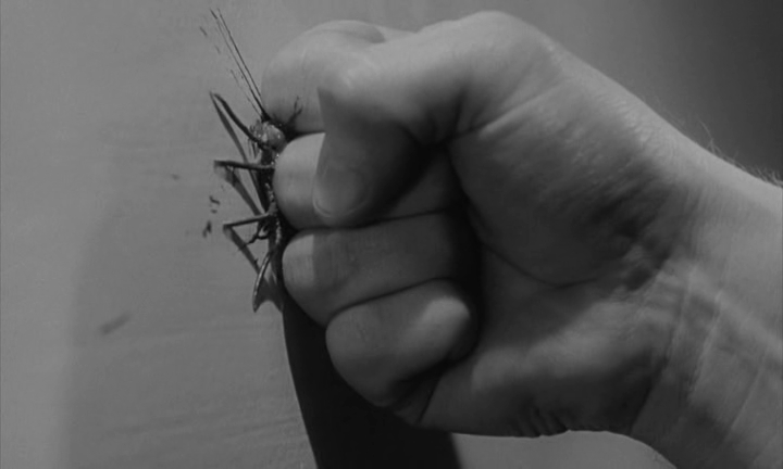 This Sporting Life (1953)