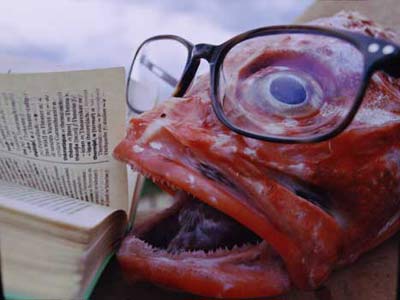 Barnes & Barnes: Fish Heads