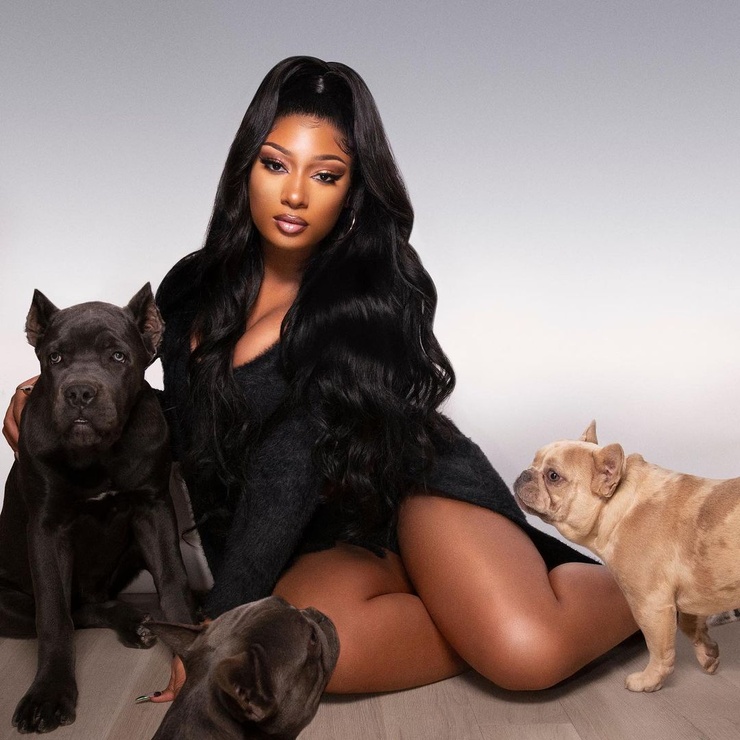Megan Thee Stallion