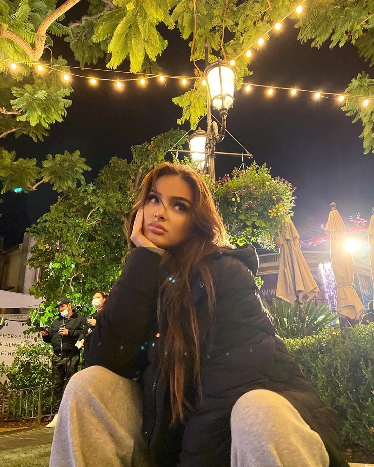 Brighton Sharbino