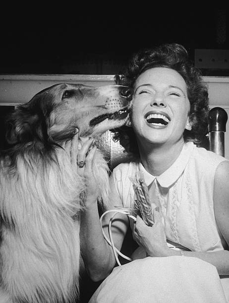 Lassie Lassie