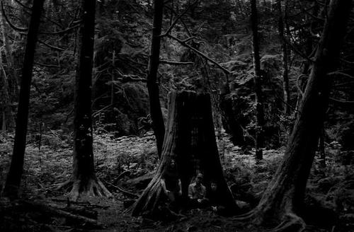 Wolves in the Throne Room Wolves in the Throne Room