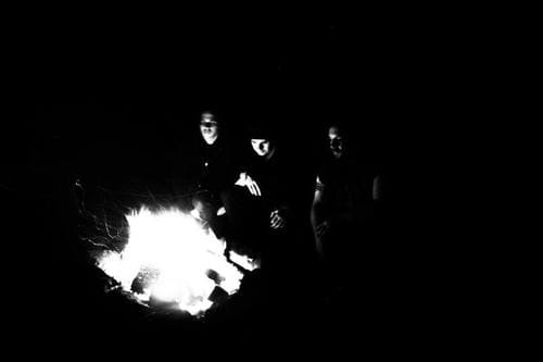 Wolves in the Throne Room