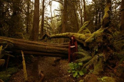 Wolves in the Throne Room Wolves in the Throne Room