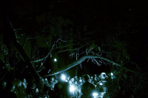 Wolves in the Throne Room Wolves in the Throne Room