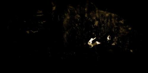 Wolves in the Throne Room Wolves in the Throne Room