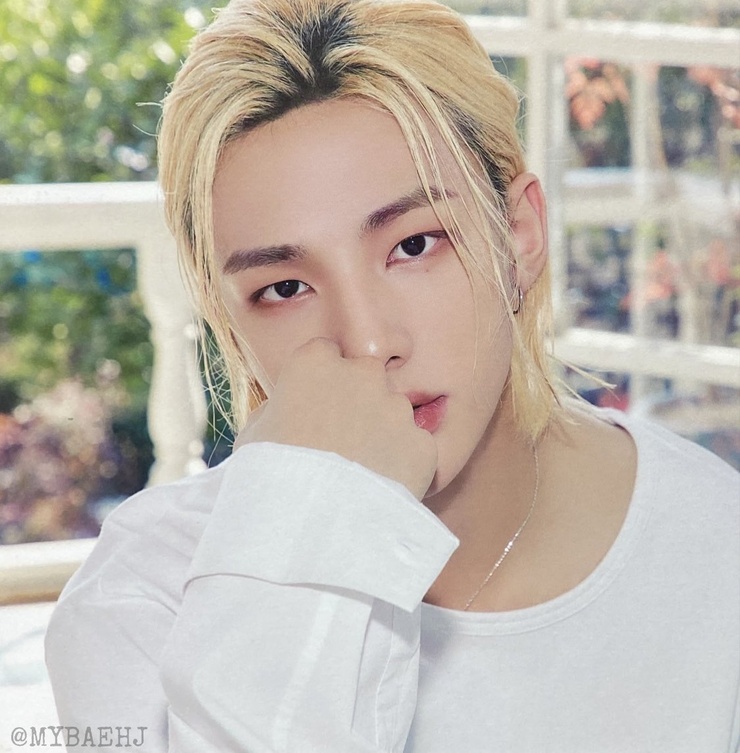 Hyun-Jin Hwang Hyun-Jin Hwang