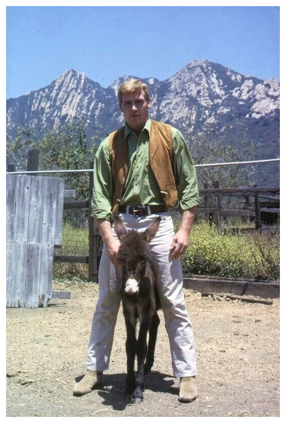 Lee Majors