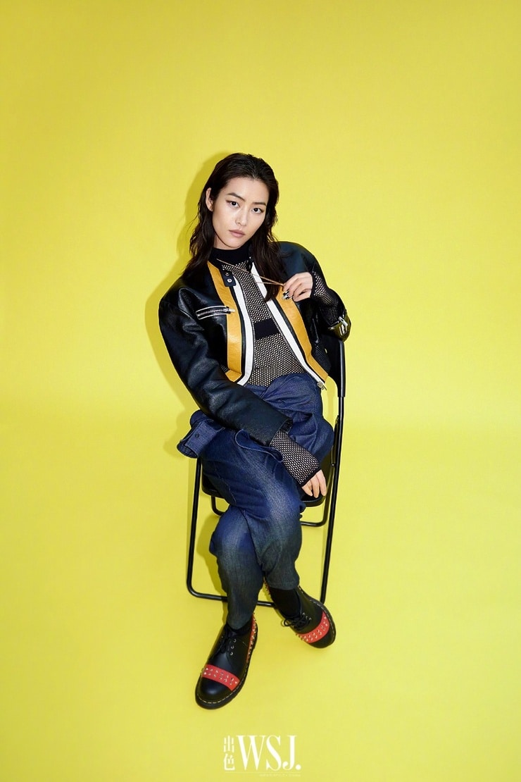 Liu Wen
