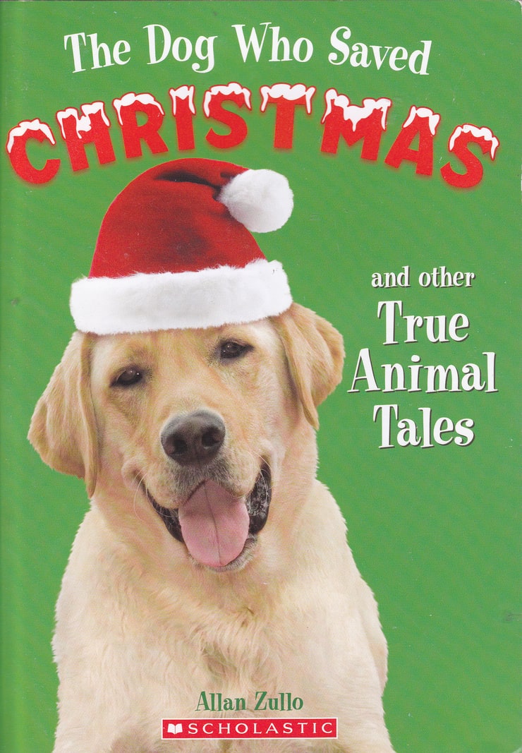 Christmas saves the year. The Dog who saved the Holidays. The Dog who saved Christmas (ТВ, 2009). The Dog that saved Christmas. True animal.