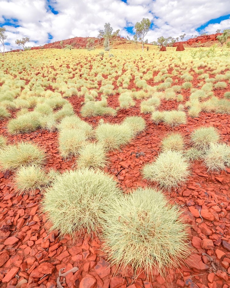 Australia