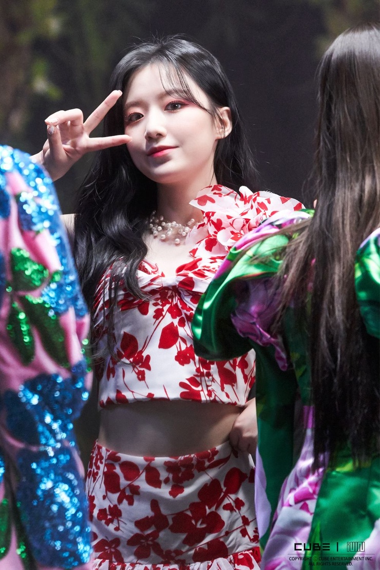 Yeh Shu Hua
