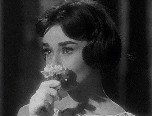 Audrey Hepburn
