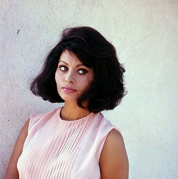 Sophia Loren