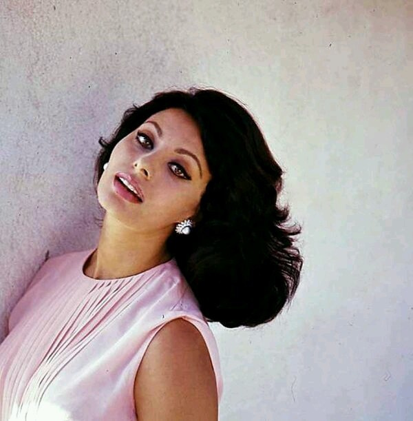 Sophia Loren