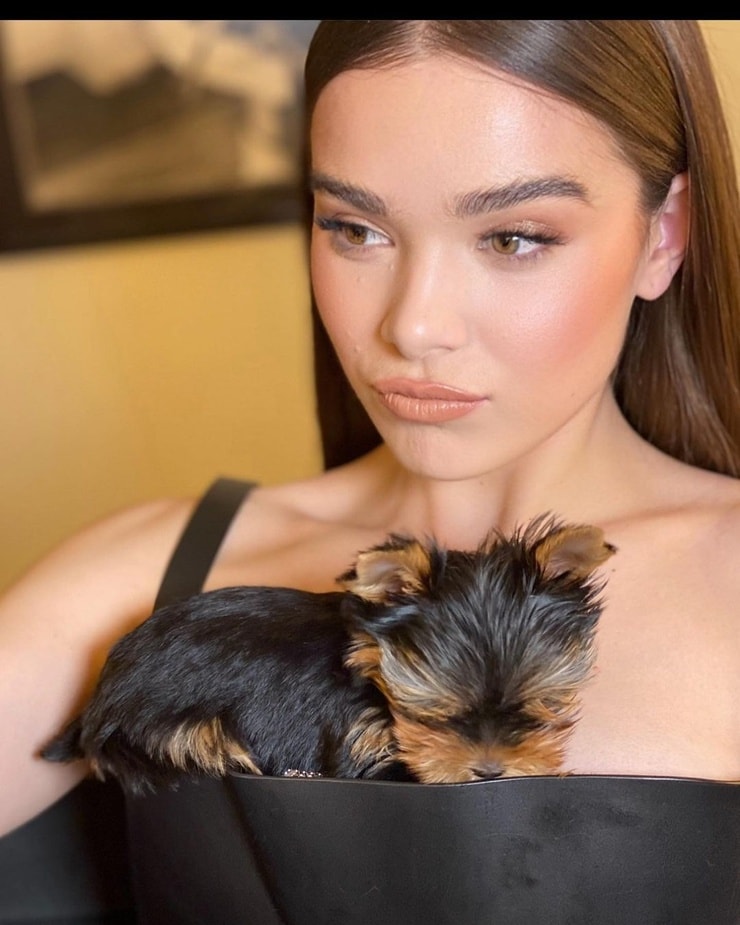 Hailee Steinfeld Hailee Steinfeld