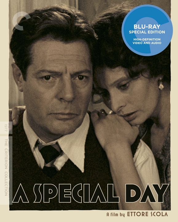 Image Of A Special Day