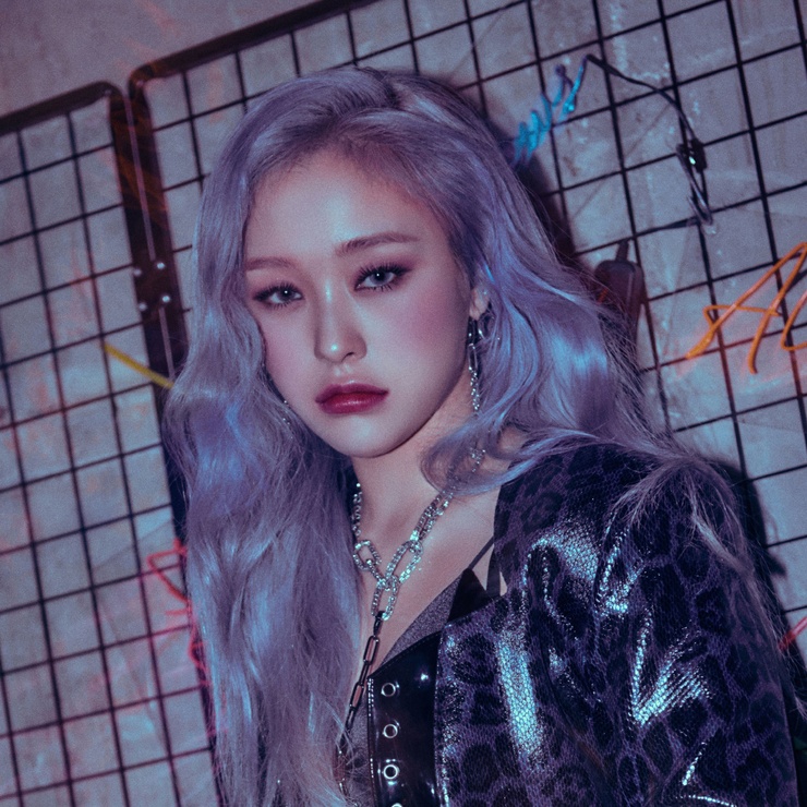 Dreamcatcher