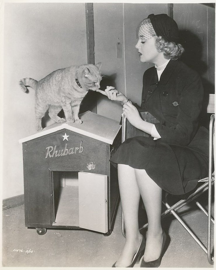 Jan Sterling Jan Sterling
