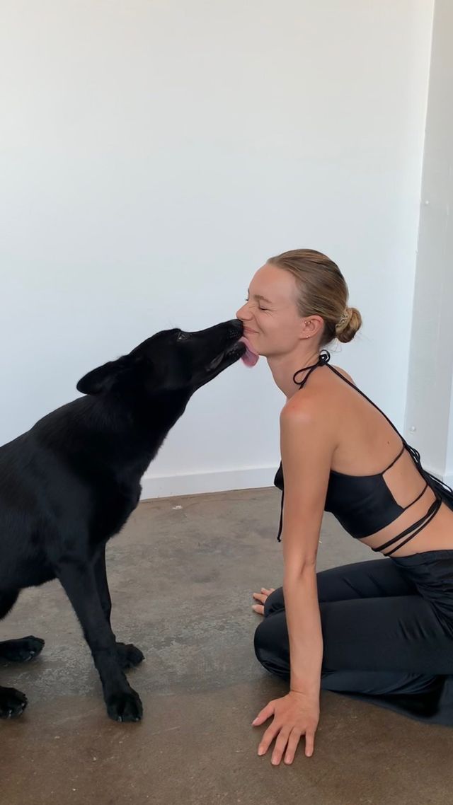 Maya Stepper