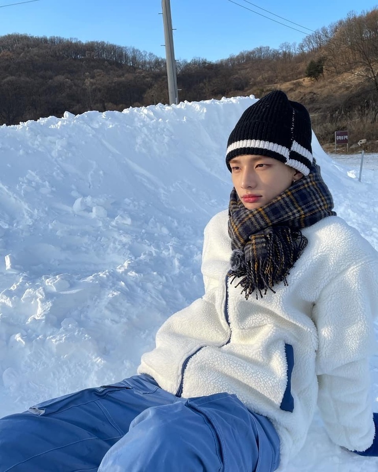 Hyun-Jin Hwang