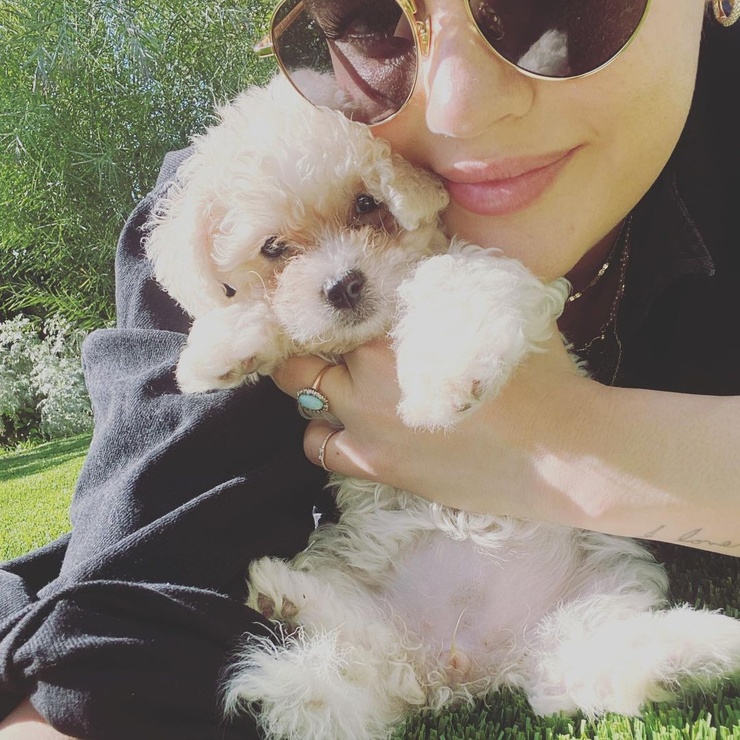 Lucy Hale