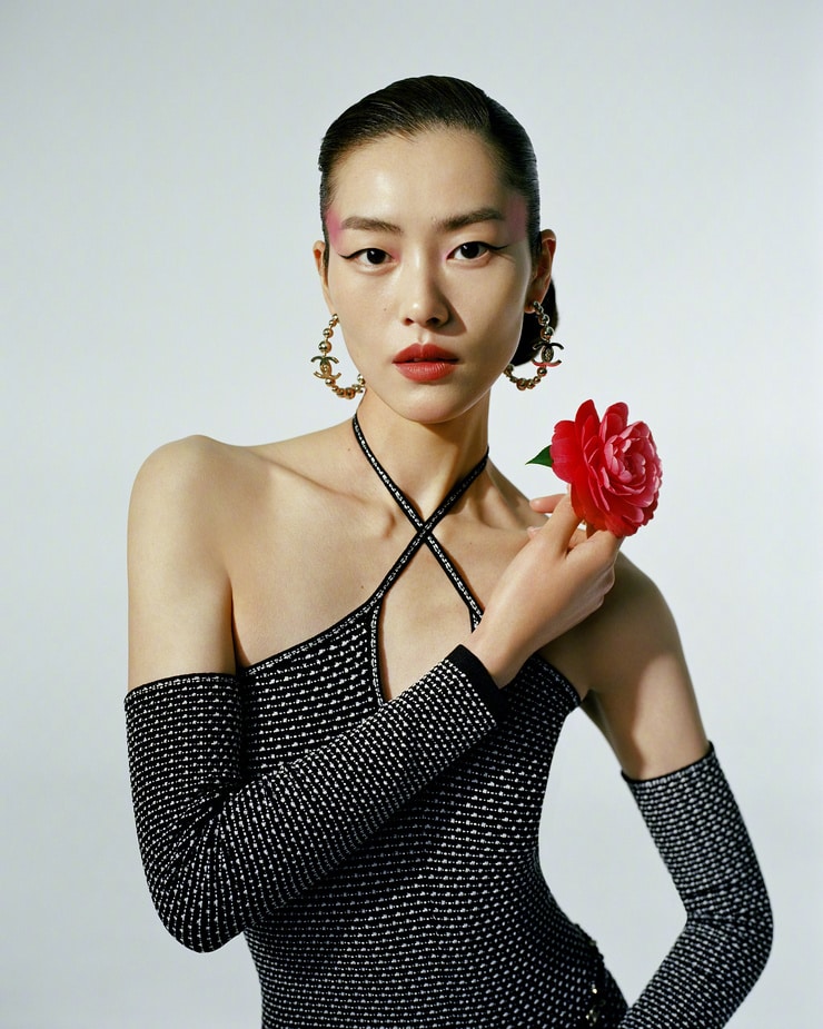 Liu Wen