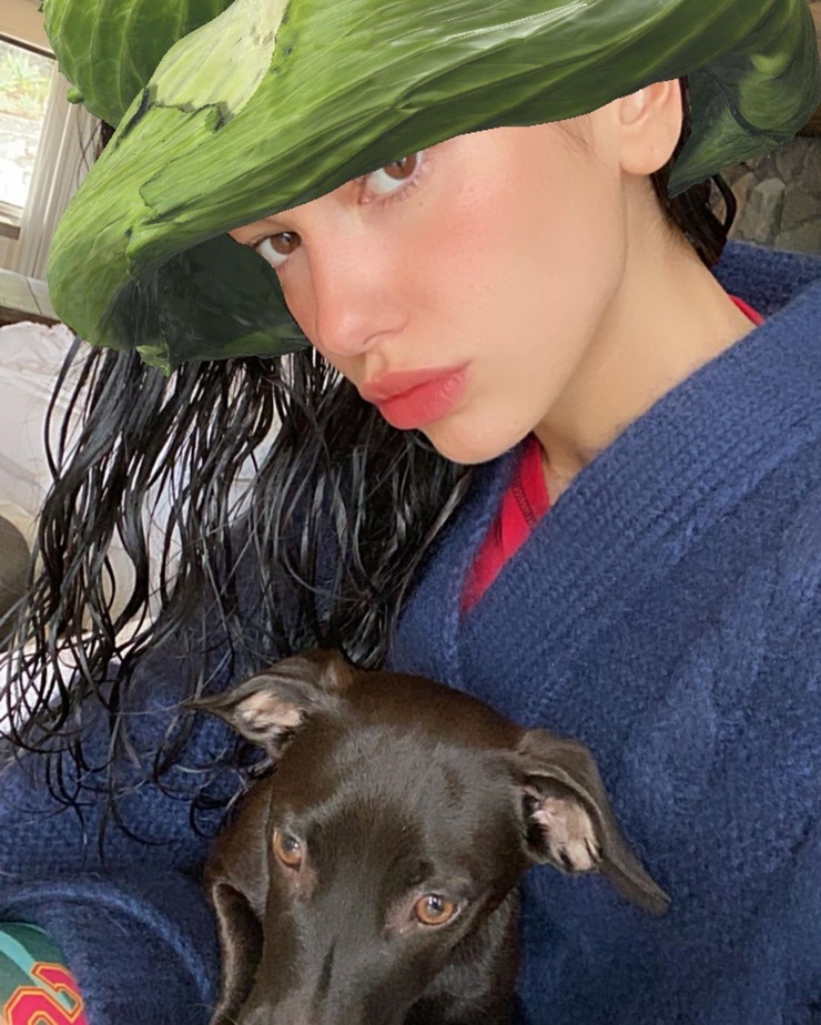 Dua Lipa