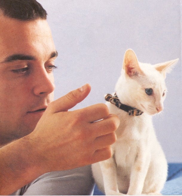 Robbie Williams