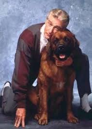 Bear the Dog