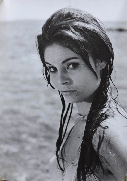 Daliah Lavi