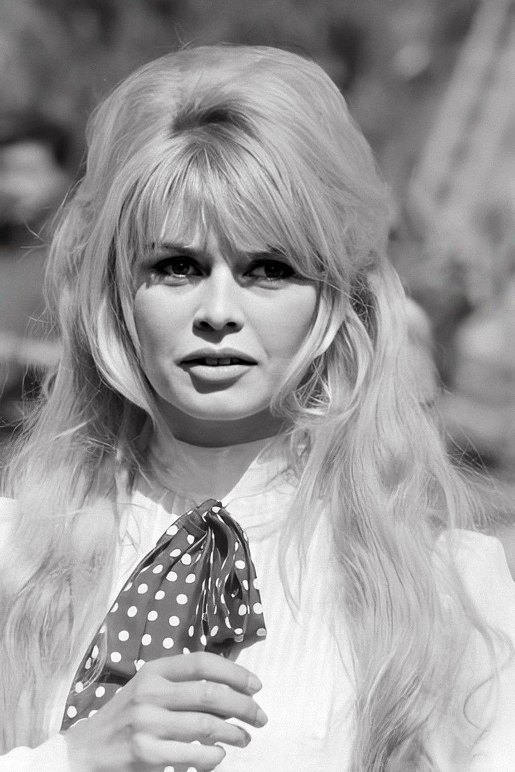 Brigitte Bardot Brigitte Bardot
