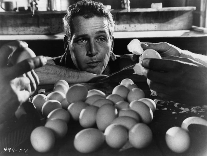 Cool Hand Luke