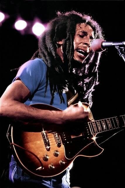 Bob Marley And The Wailers Live Image