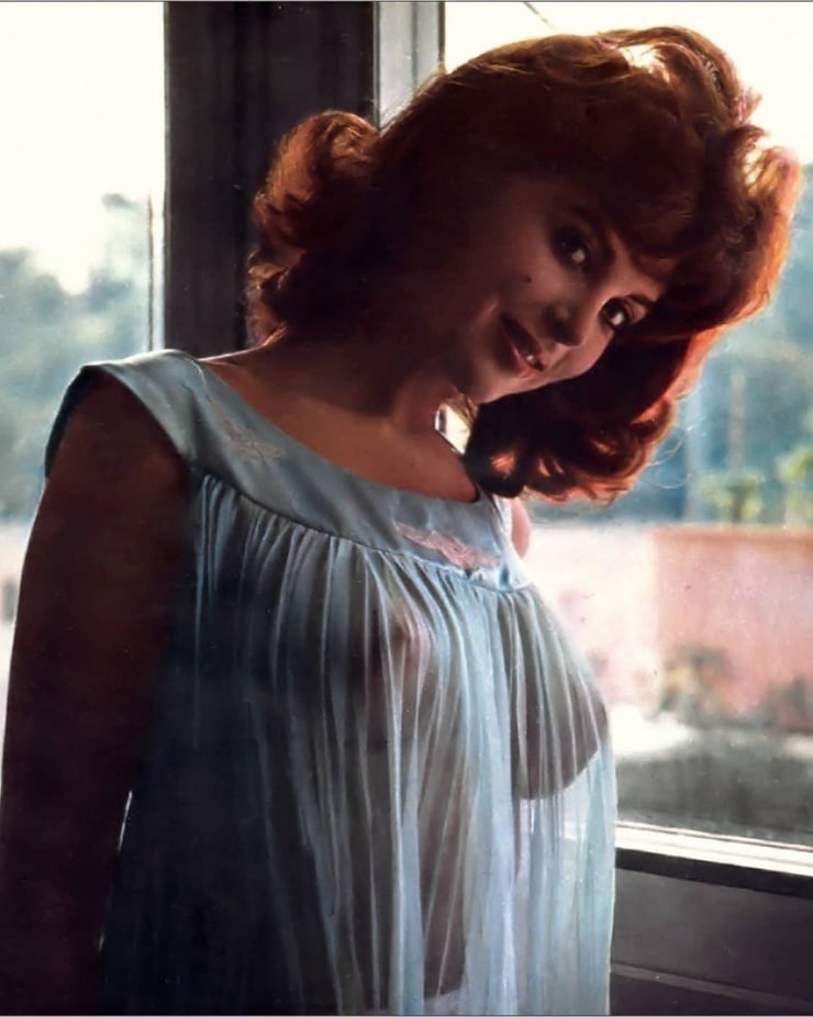 tina louise website