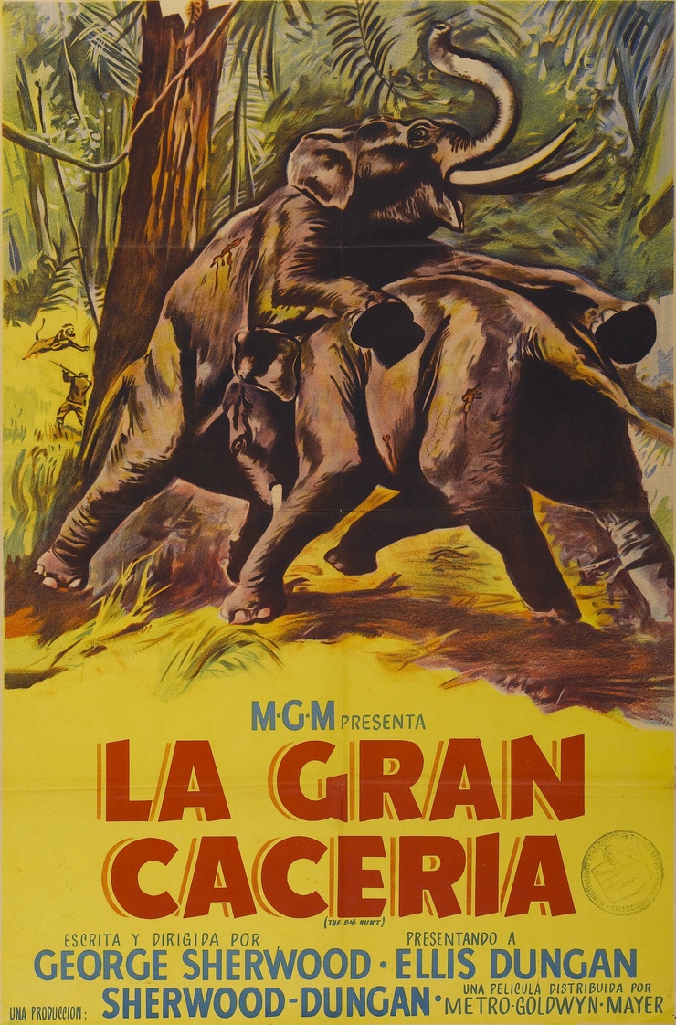 The Big Hunt