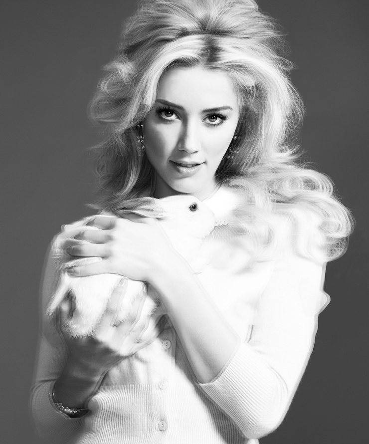 Amber Heard