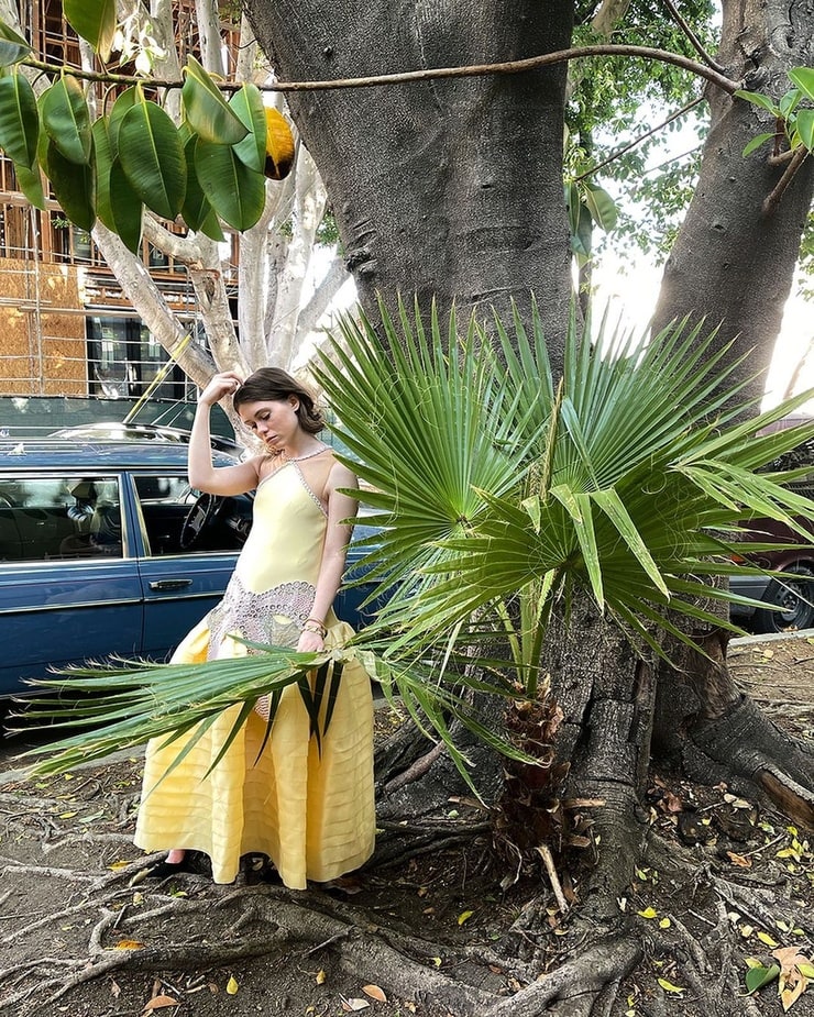 Sophia Lillis