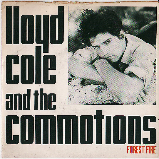 Forest Fire