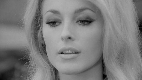 All Eyes on Sharon Tate