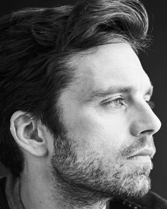 Sebastian Stan