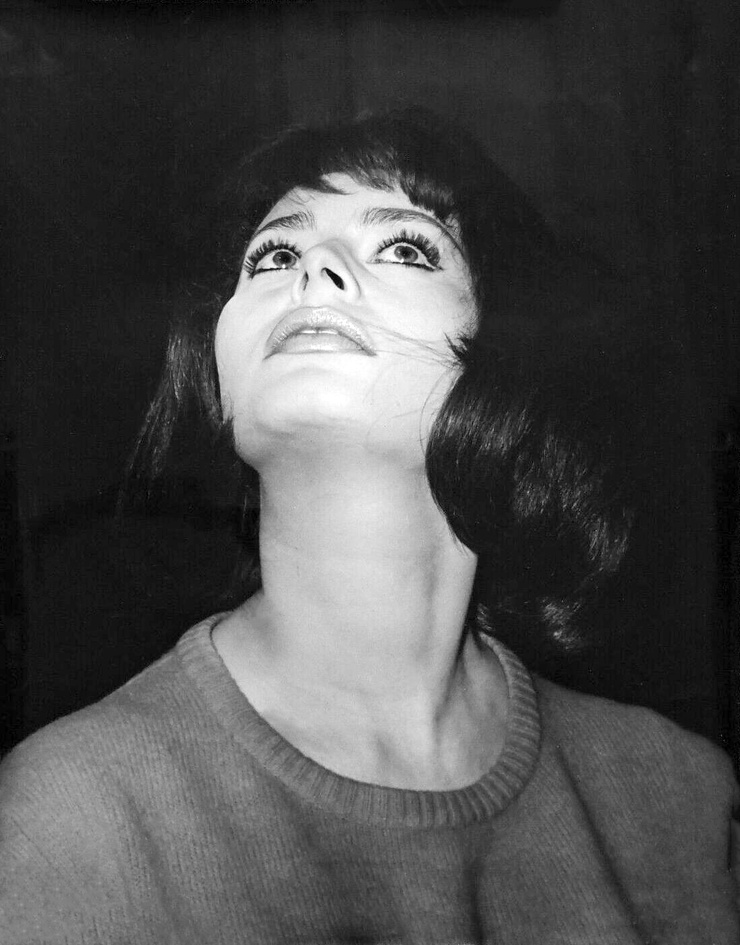 Sophia Loren